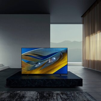 Sony OLED-Fernseher XR55A80JAEP Titan-Schwarz