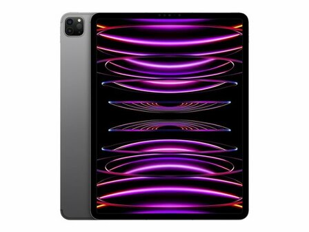 Apple iPad Pro 12.9 WiFi 256 GB - Silver - Space Grey  (6.Gen 2022)