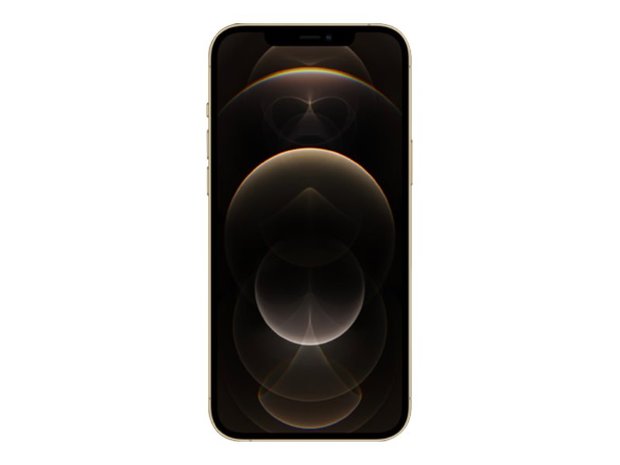 Apple  iPhone 12 Pro Max 256GB Pazifikblau / Gold/ Silber / Graphit / 
