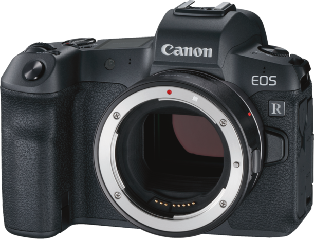  Canon EOS R Gehäuse + Adapter EF-EOS R 